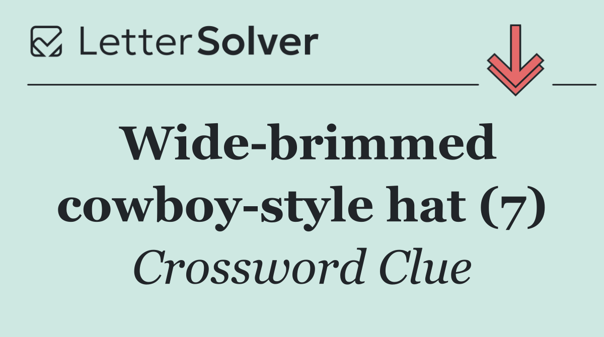 Wide brimmed cowboy style hat (7)