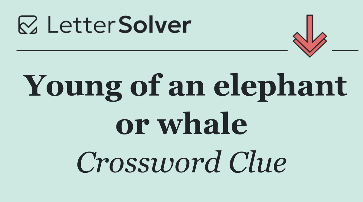 Young of an elephant or whale