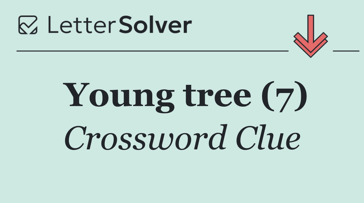 Young tree (7)