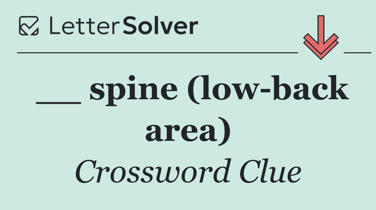 __ spine (low back area)