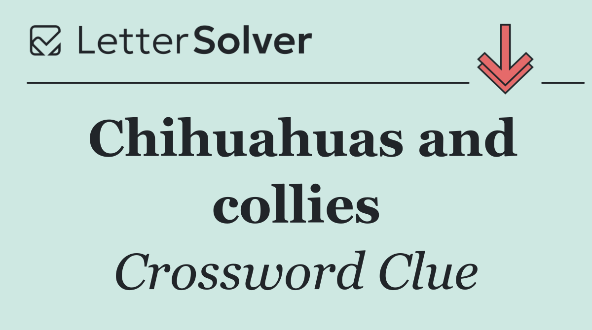 Chihuahuas and collies