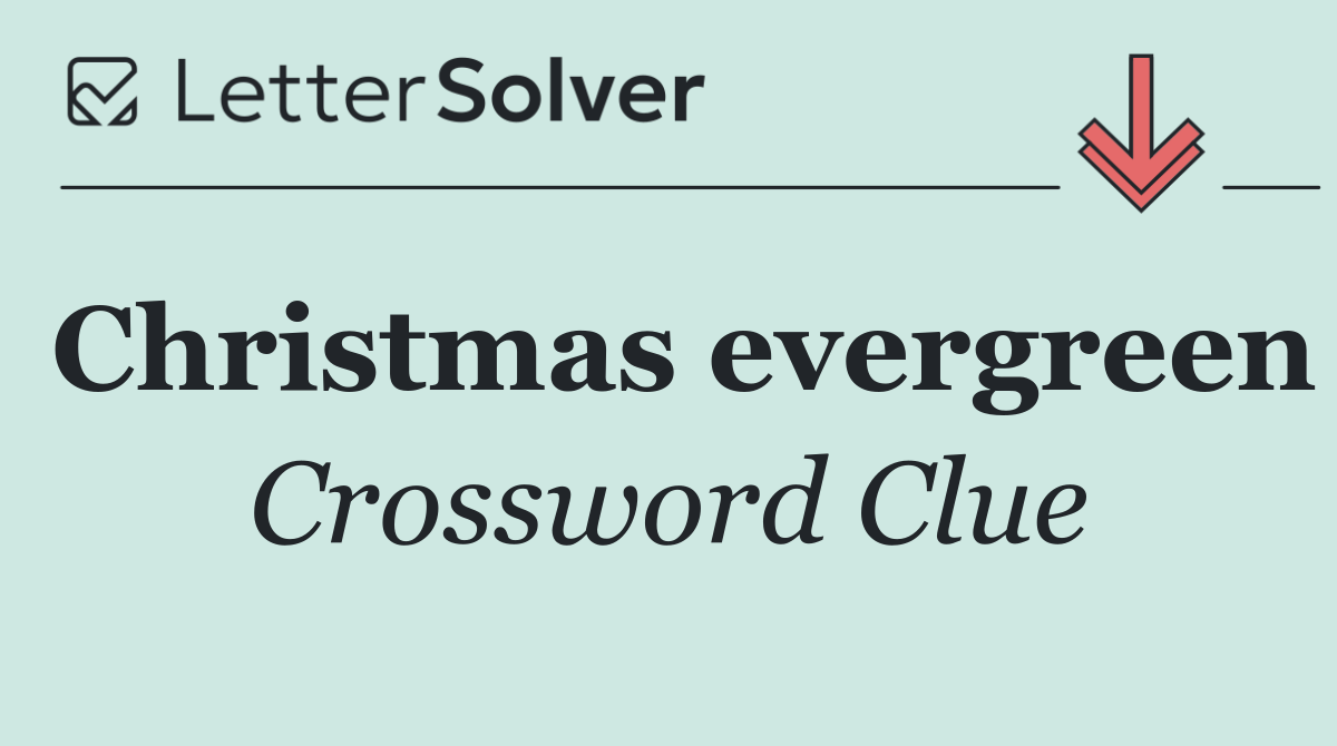 Christmas evergreen