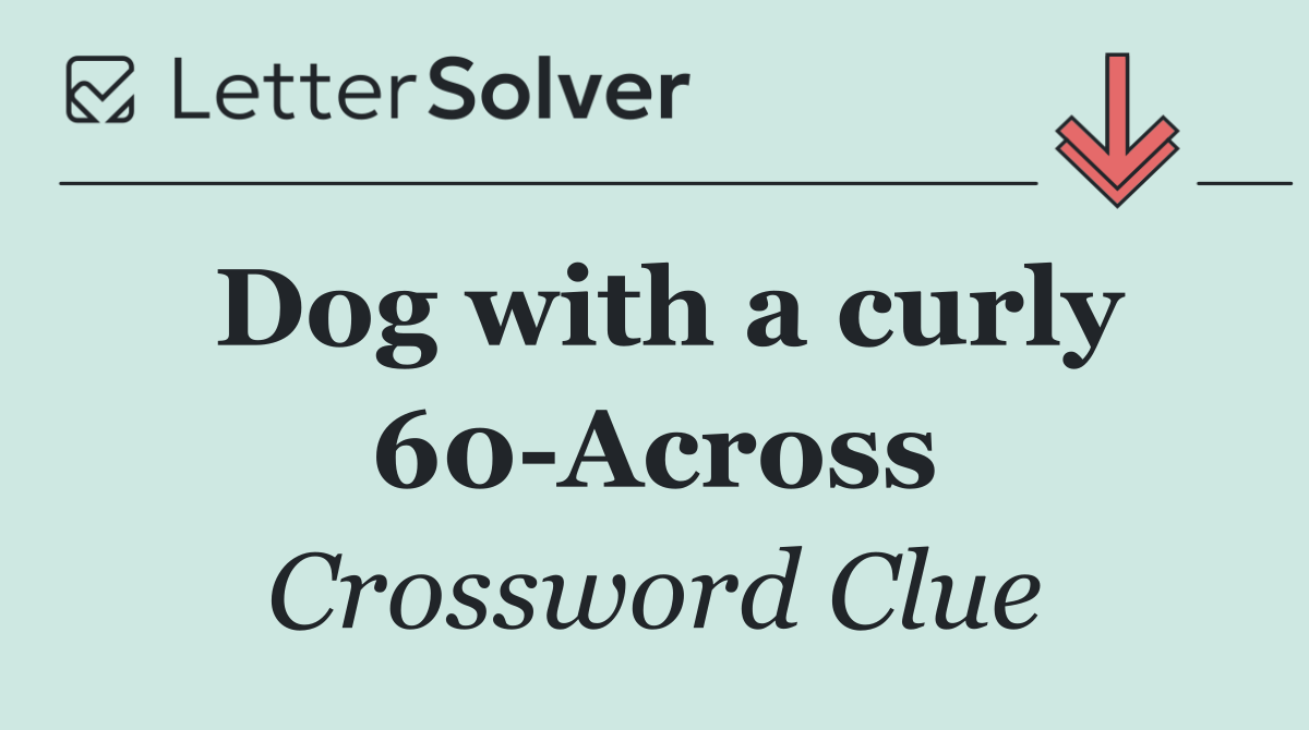 Dog with a curly 60 Across