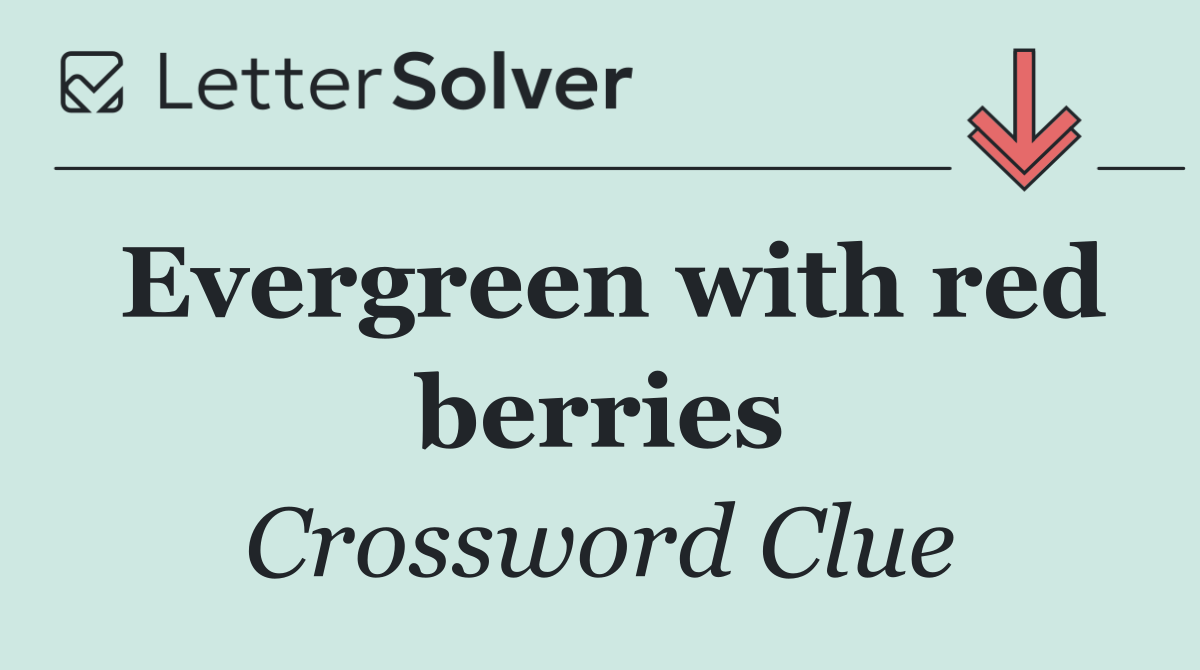 Evergreen with red berries