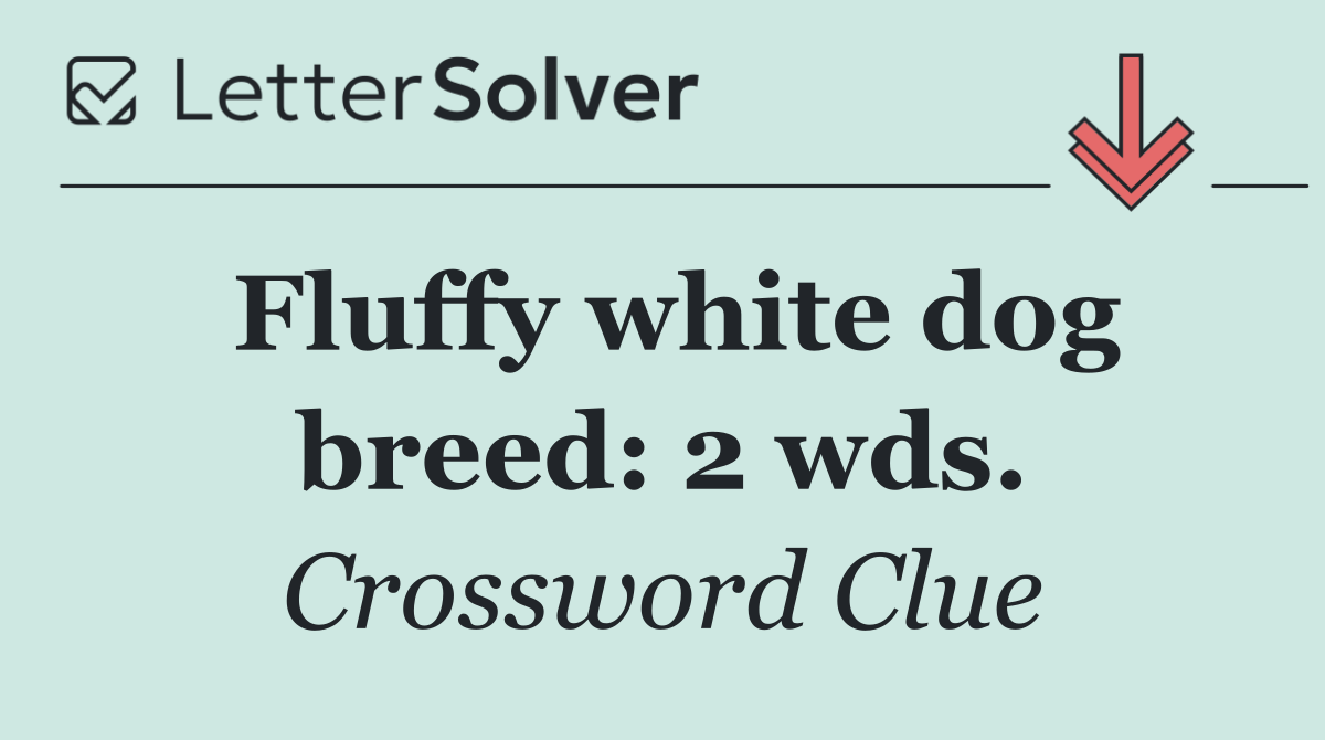 Fluffy white dog breed: 2 wds.