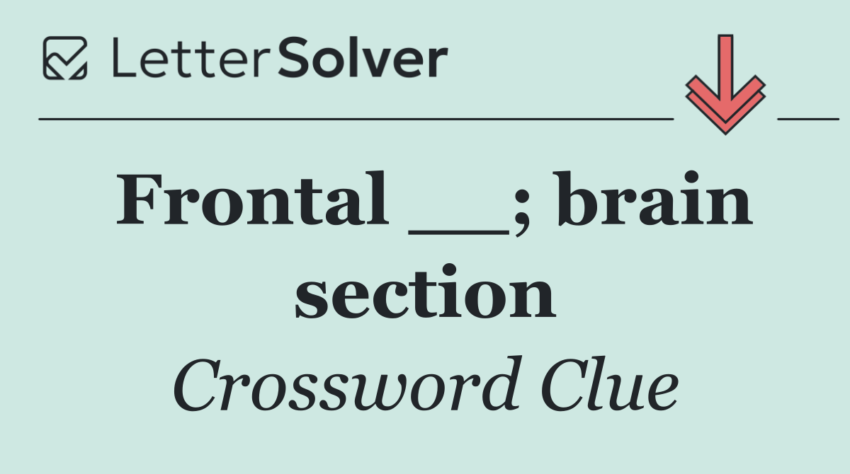 Frontal __; brain section