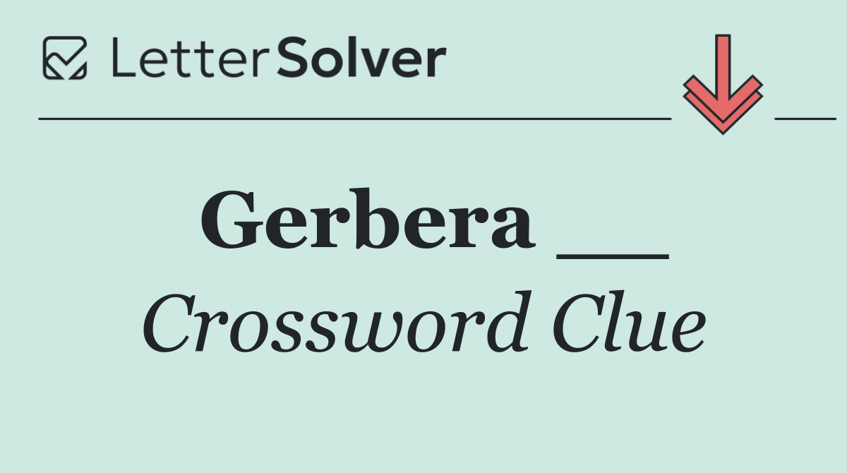 Gerbera __