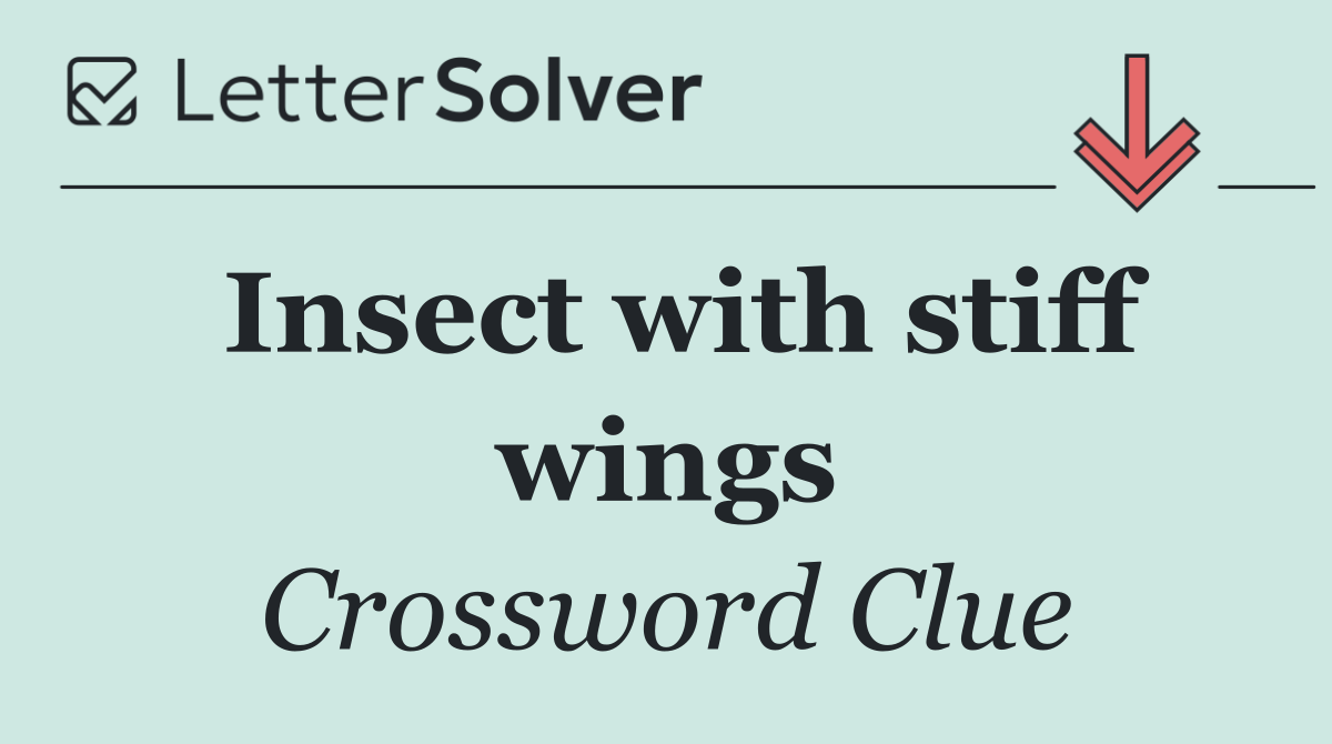Insect with stiff wings