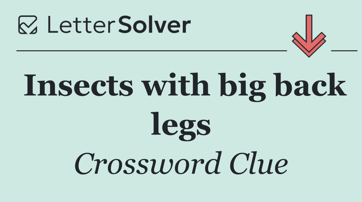 Insects with big back legs