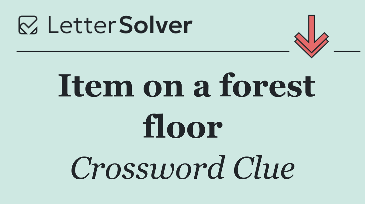 Item on a forest floor