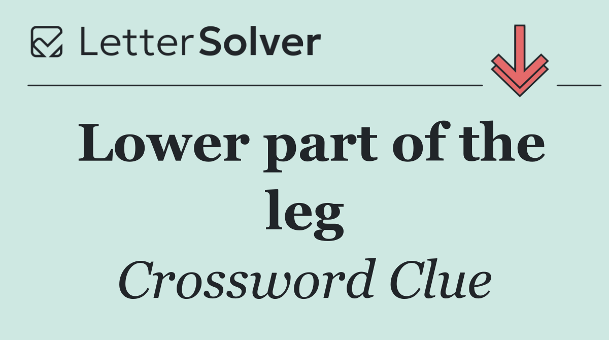 Lower part of the leg