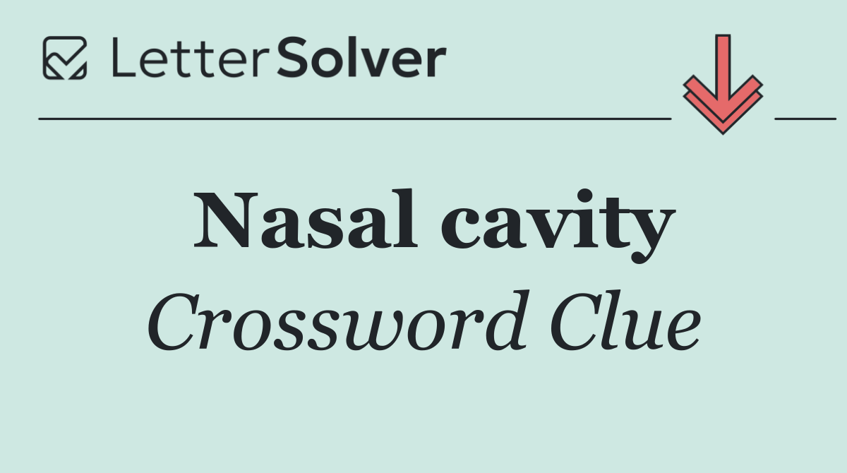 Nasal cavity