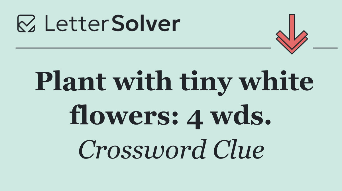 Plant with tiny white flowers: 4 wds.