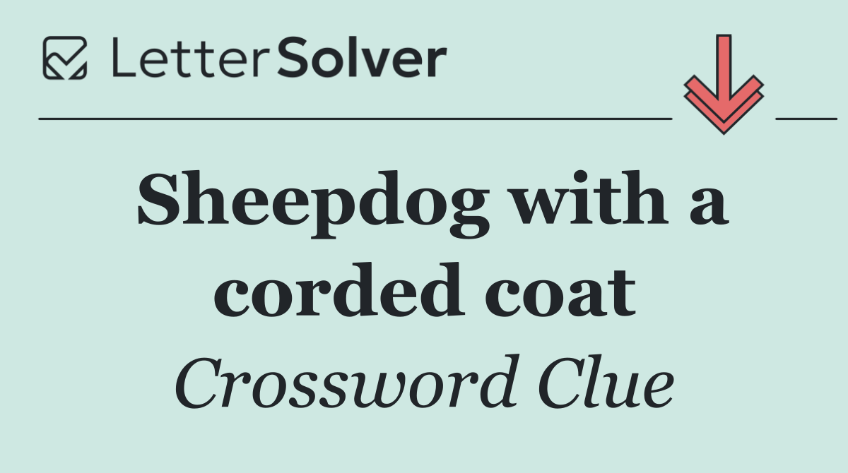 Sheepdog with a corded coat