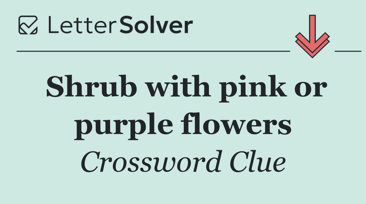 Shrub with pink or purple flowers
