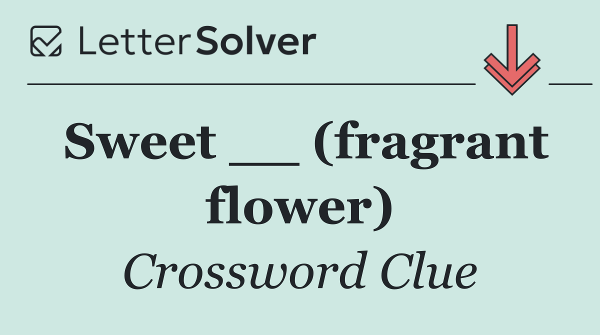 Sweet __ (fragrant flower)