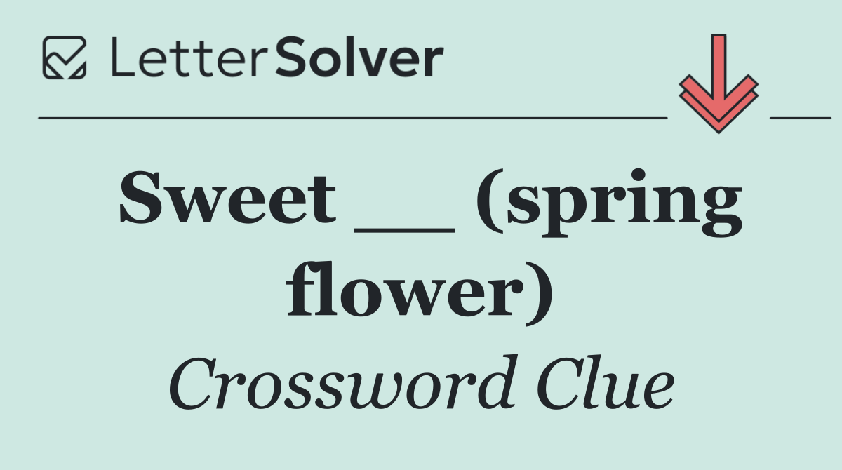 Sweet __ (spring flower)