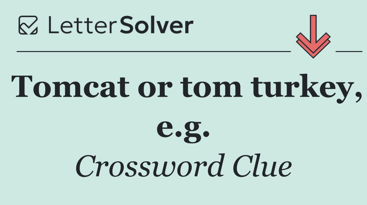 Tomcat or tom turkey, e.g.