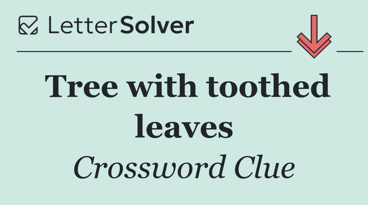 Tree with toothed leaves
