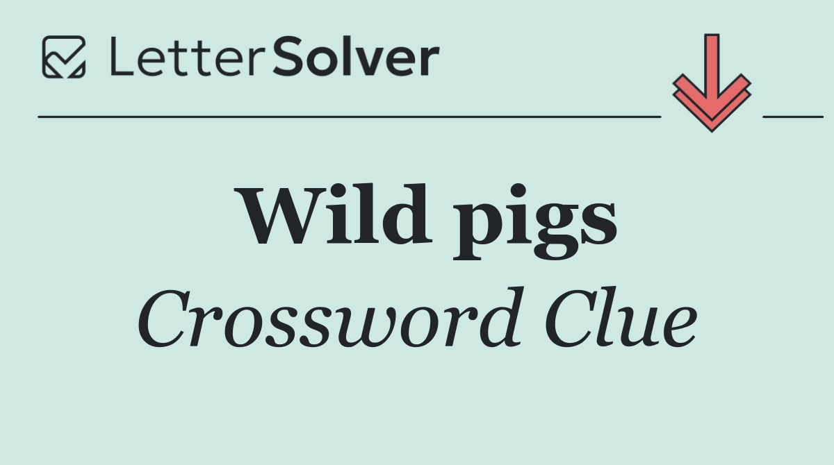 Wild pigs