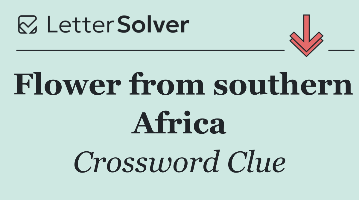 Flower from southern Africa