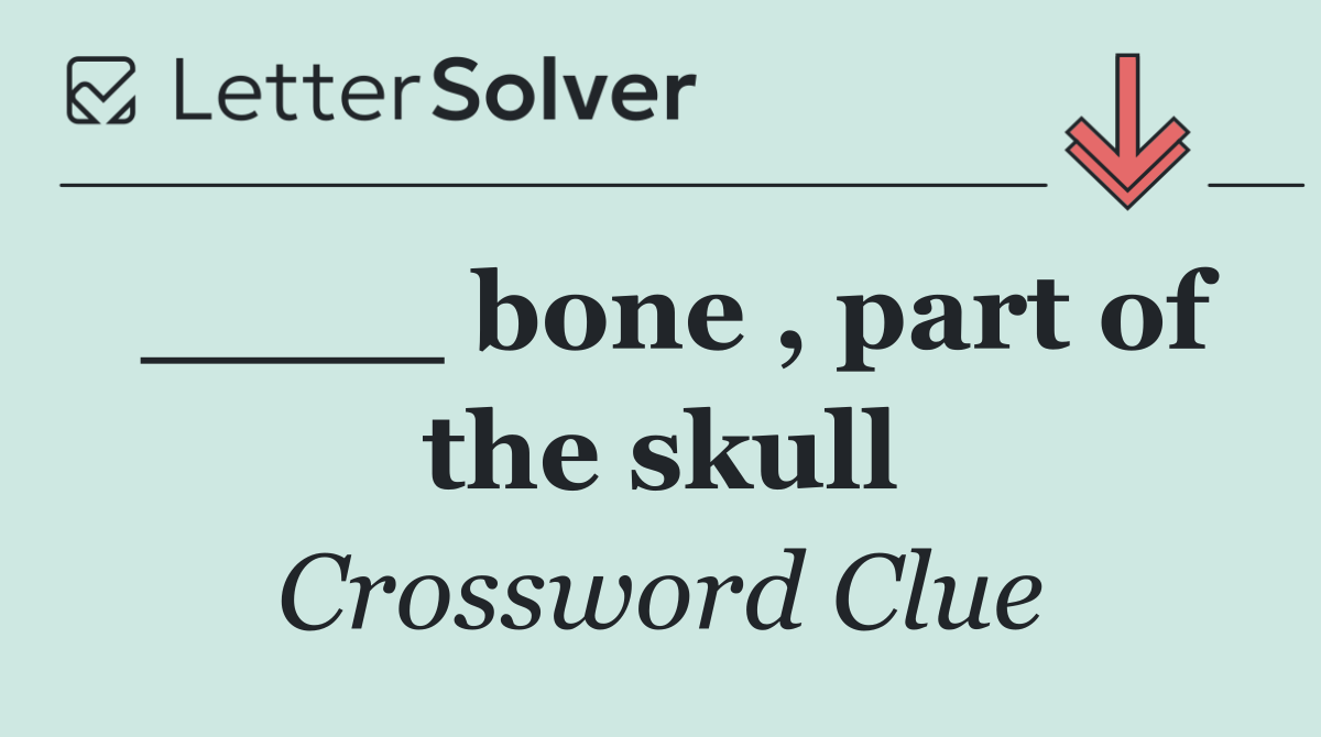 ____ bone , part of the skull