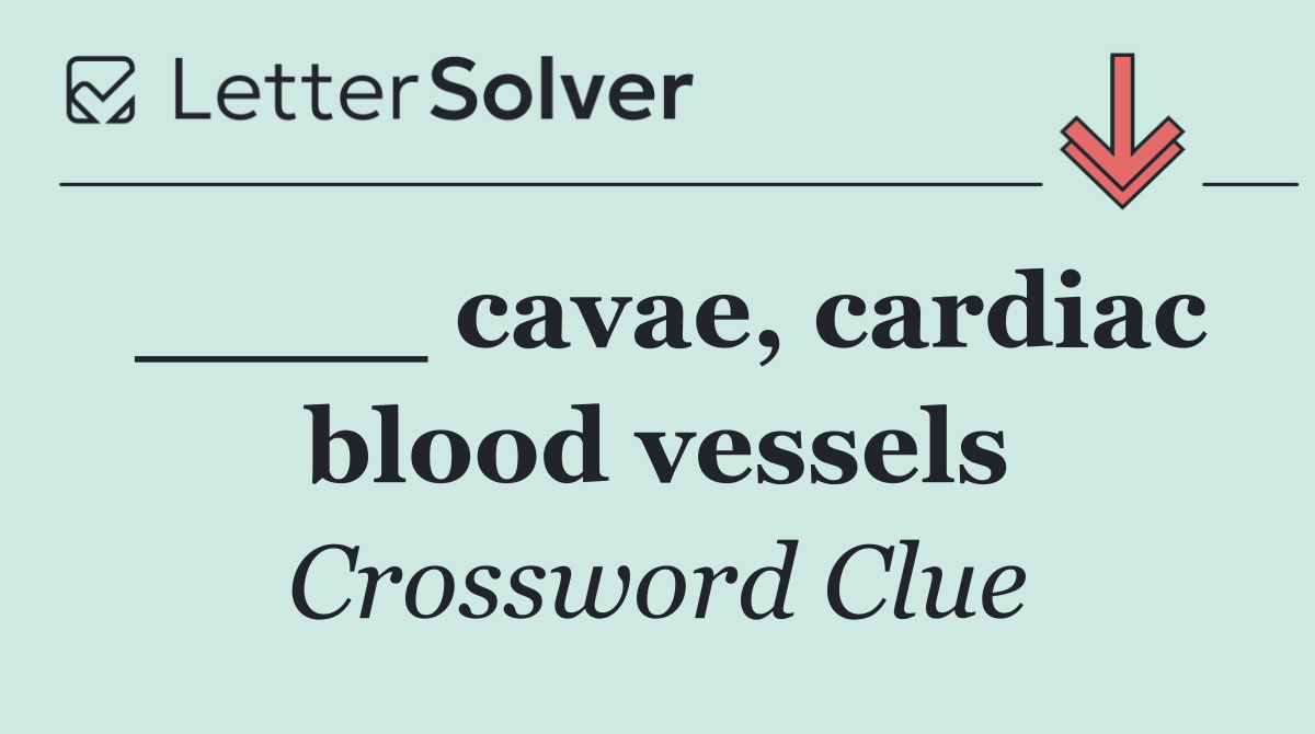 ____ cavae, cardiac blood vessels