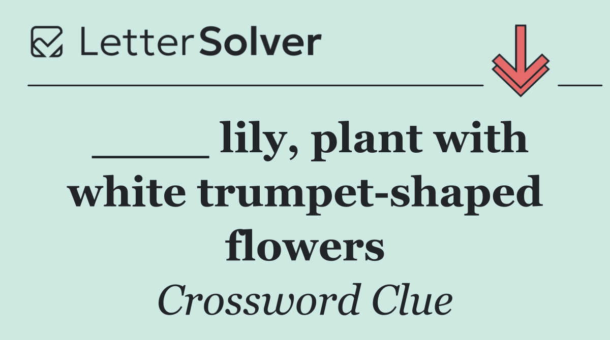 ____ lily, plant with white trumpet shaped flowers