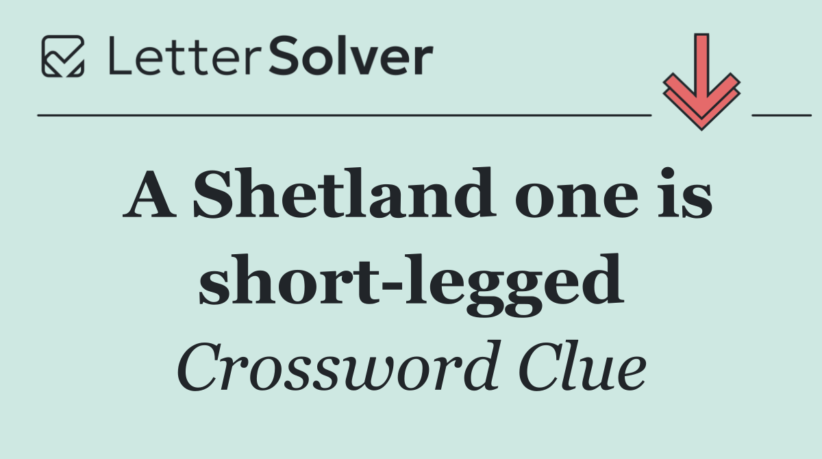 A Shetland one is short legged