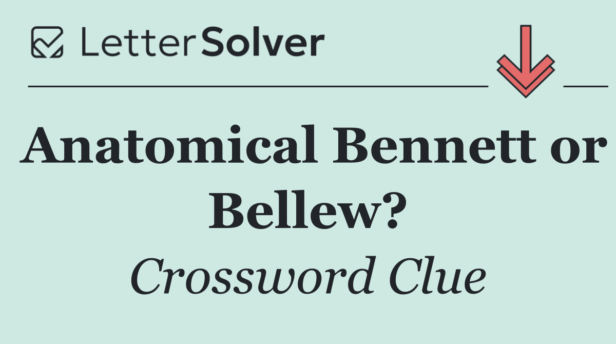 Anatomical Bennett or Bellew?