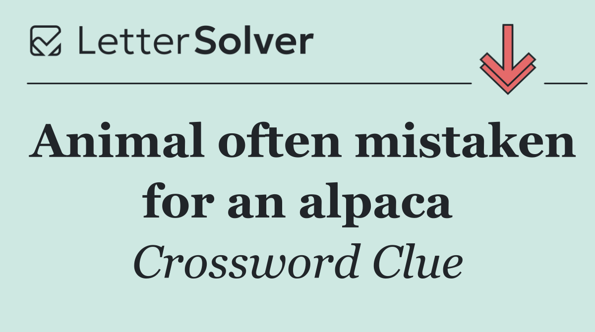 Animal often mistaken for an alpaca