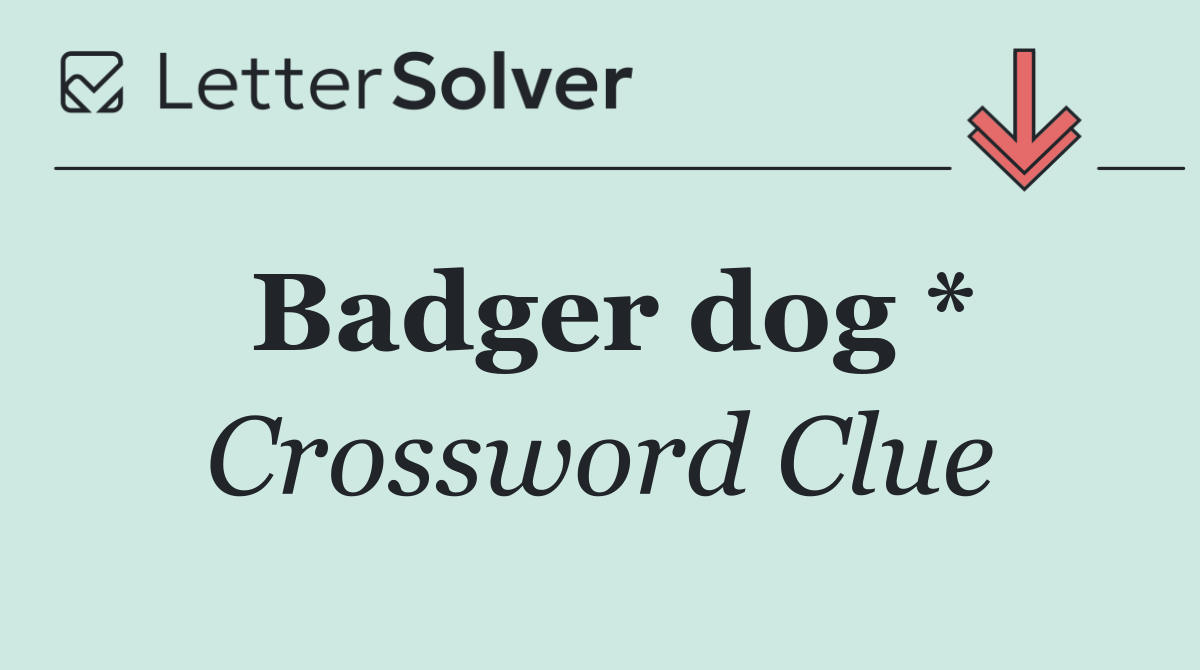 Badger dog *