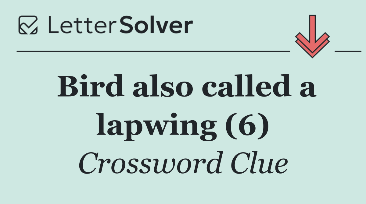 Bird also called a lapwing (6)