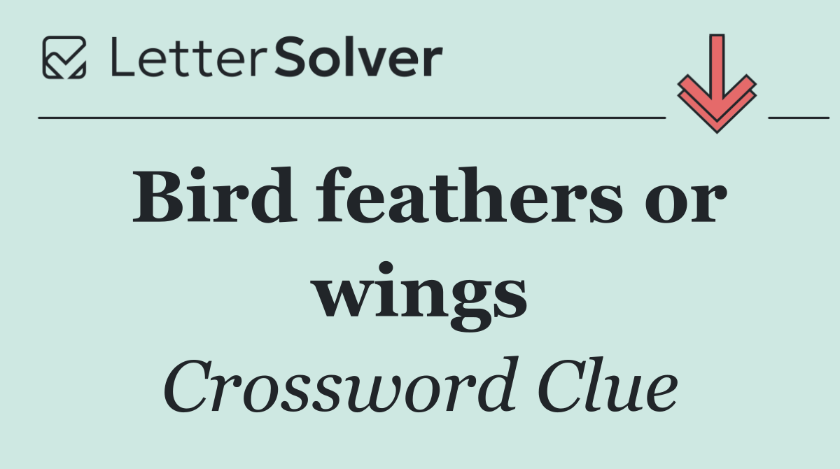 Bird feathers or wings