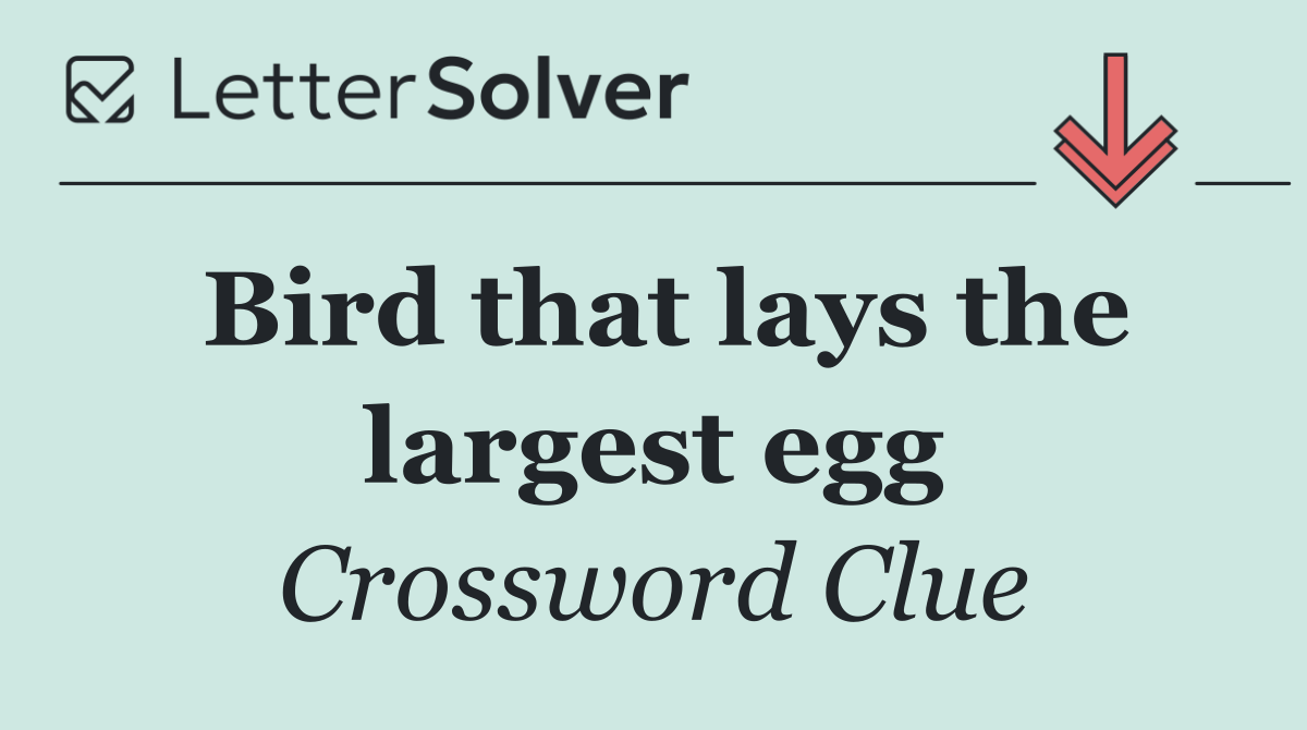 Bird that lays the largest egg
