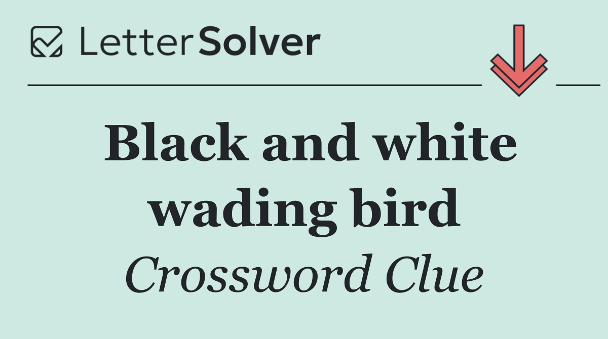 Black and white wading bird