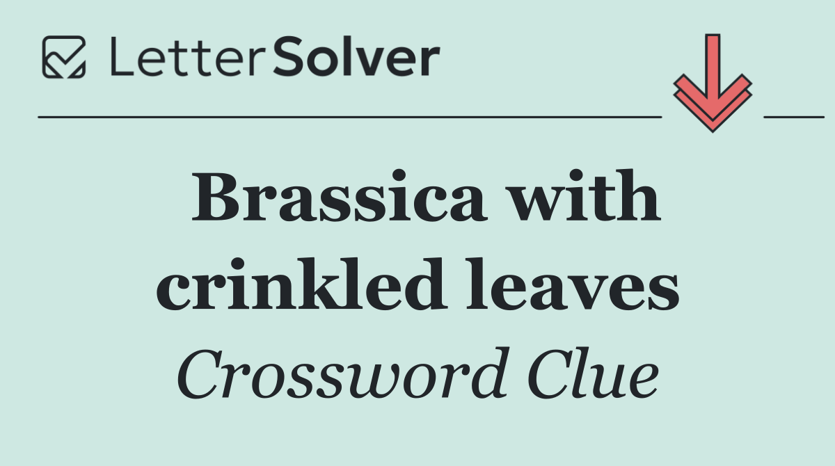 Brassica with crinkled leaves