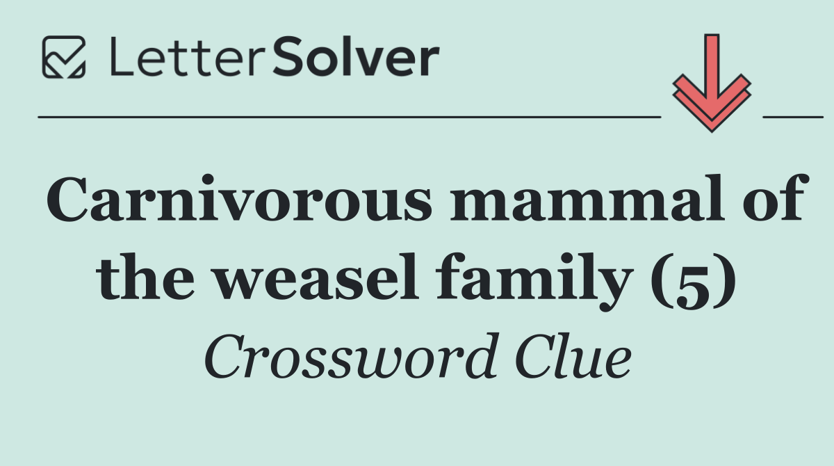 Carnivorous mammal of the weasel family (5)