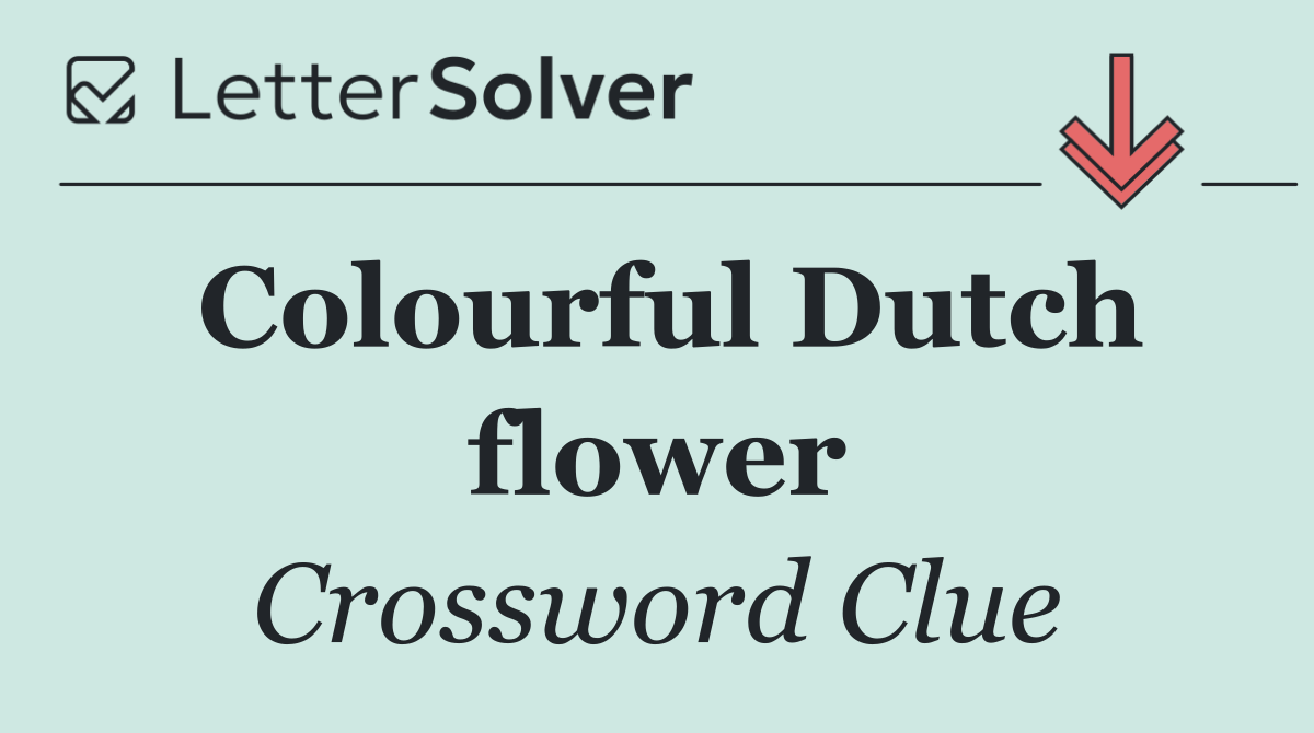 Colourful Dutch flower