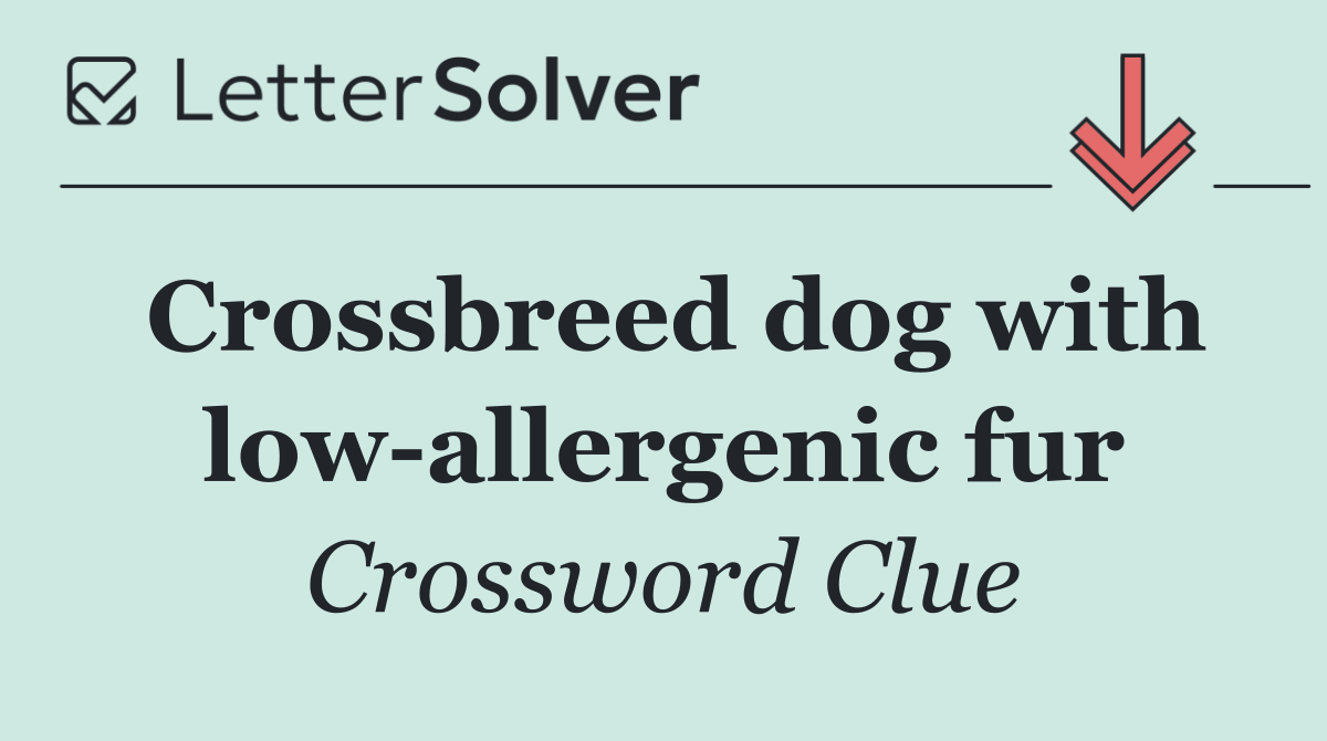 Crossbreed dog with low allergenic fur
