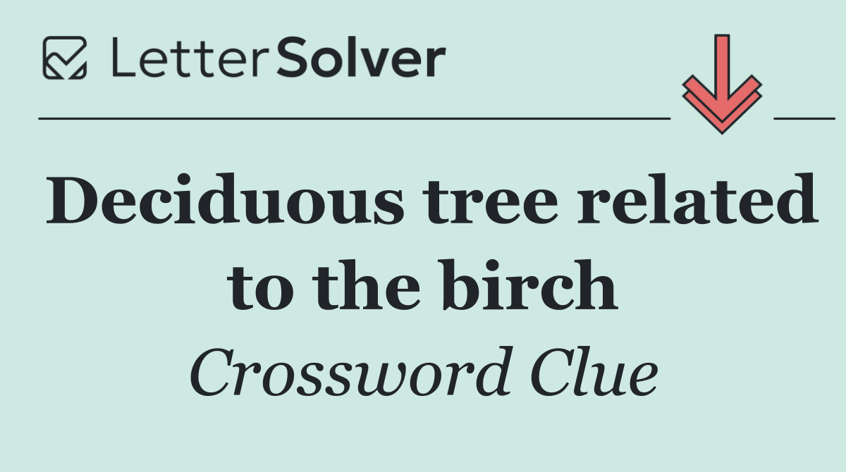 Deciduous tree related to the birch