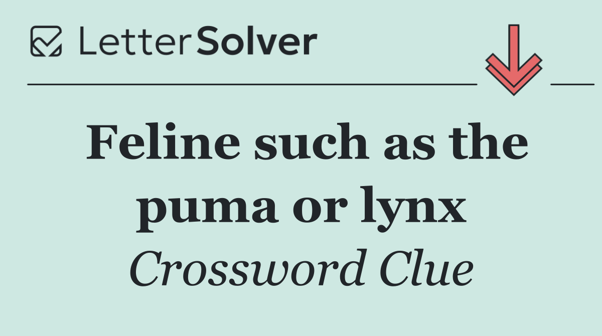 Feline such as the puma or lynx