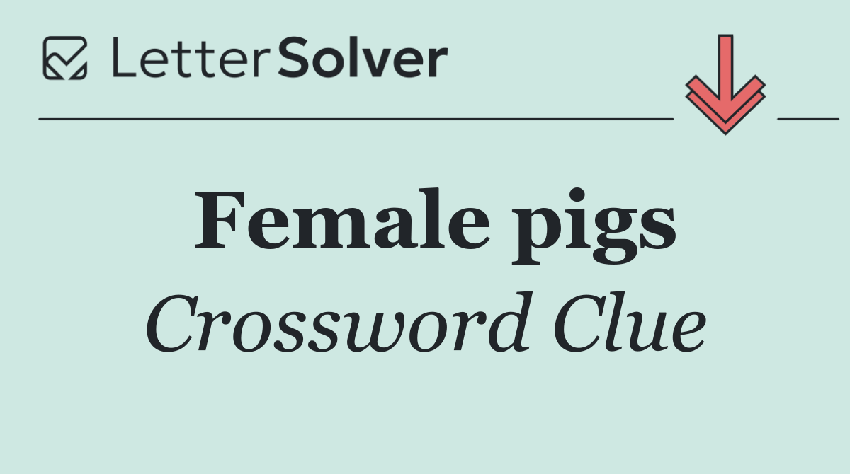 Female pigs