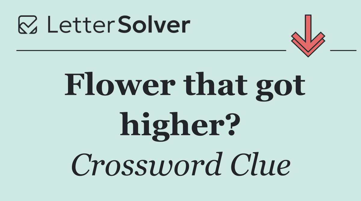 Flower that got higher?