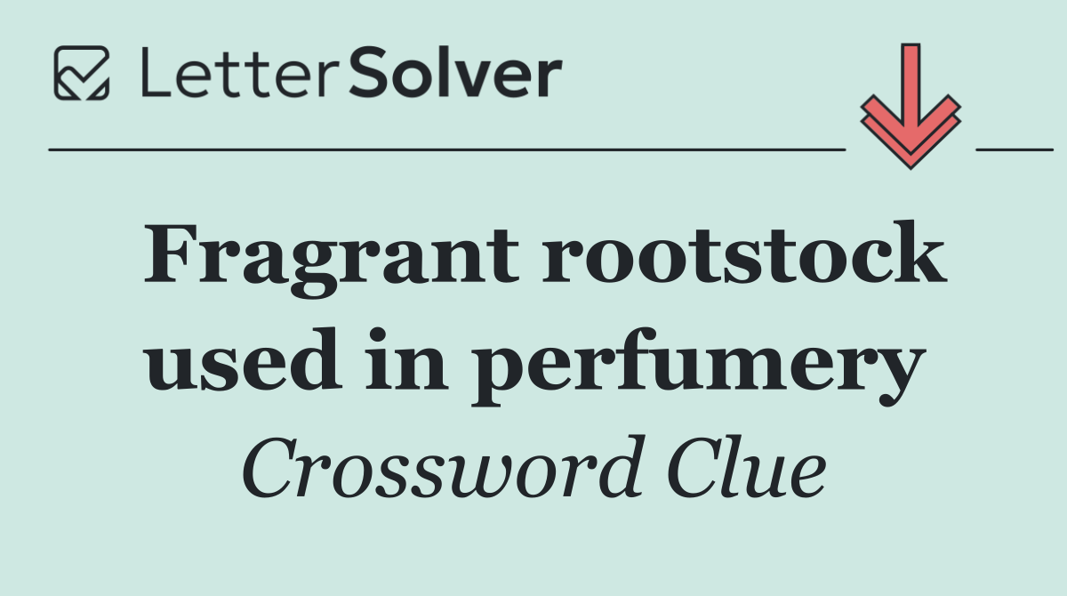 Fragrant rootstock used in perfumery
