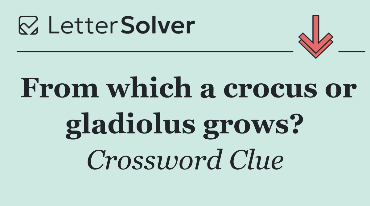 From which a crocus or gladiolus grows?