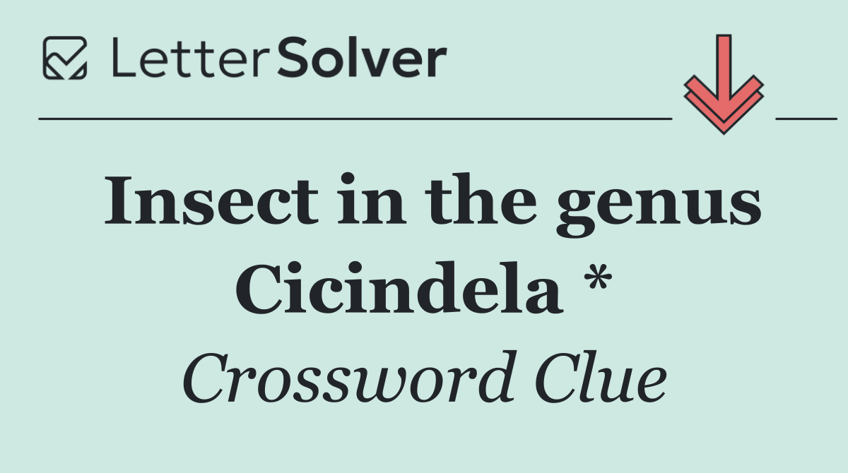 Insect in the genus Cicindela *