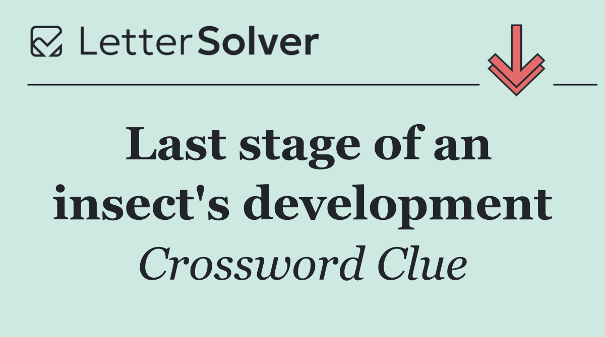 Last stage of an insect's development
