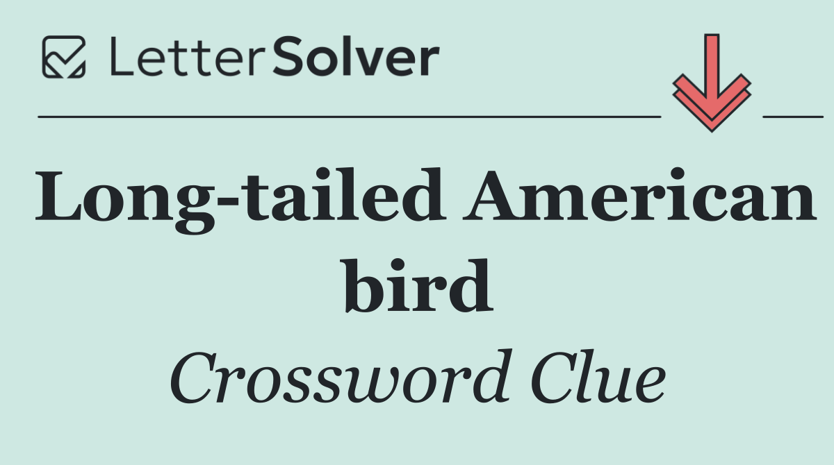 Long tailed American bird