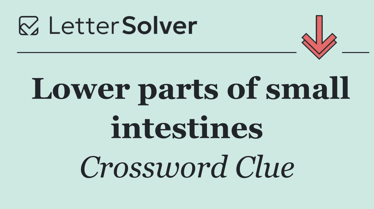 Lower parts of small intestines